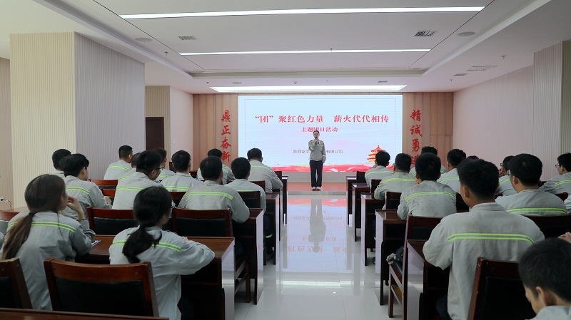 共話青春 寄語(yǔ)未來——富平公司開展“‘團(tuán)’聚紅色力量 薪火代代相傳”主題團(tuán)日活動(dòng)